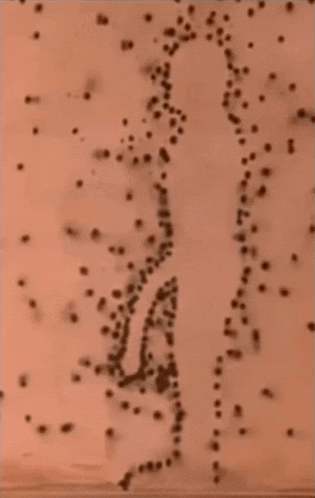 a close up of a drawing of a person with dots on it