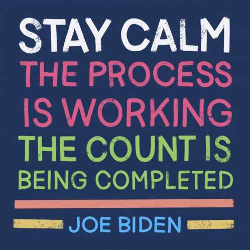 Stay Calm The Process Is Working GIF - Stay Calm The Process Is Working The Count Is Being Completed GIFs