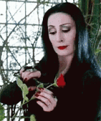 a woman in a black dress is holding a red rose in her hand .