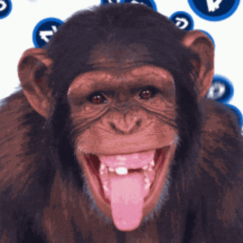 Monyet GIF - Monyet GIFs
