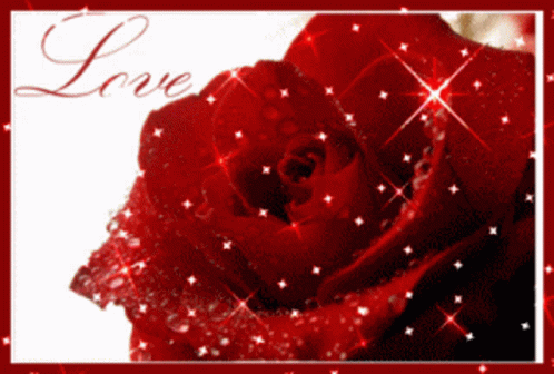 Red Rose Red Rose Sparkles GIF - Red Rose Red Rose Sparkles Sparkles GIFs