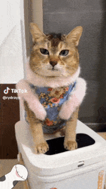 a cat wearing a floral shirt and a pink fur coat is sitting on a trash can .