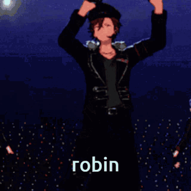robin is the name of the character in this video game