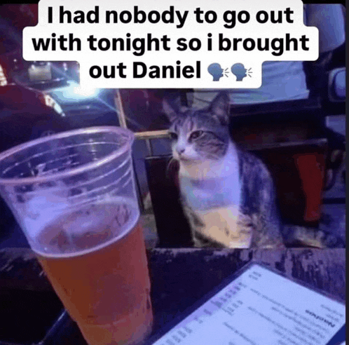 a cat sitting next to a glass of beer with a caption that says i had nobody to go out with