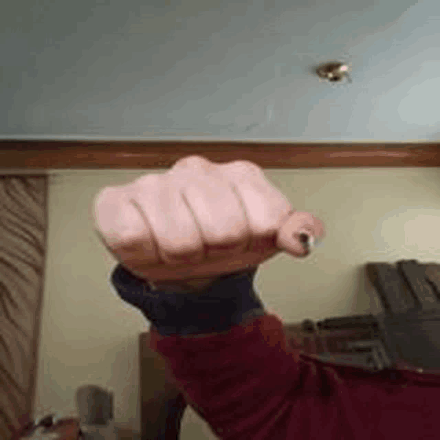 a close up of a person 's fist in a living room