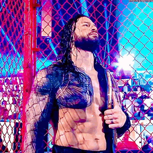 roman reigns is standing behind a chain link fence holding a belt .