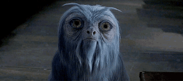 a close up of a monster with blue eyes and a beard .