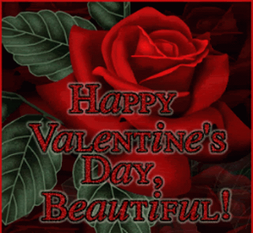 Rose Happy Valentines Day GIF - Rose Happy Valentines Day Beautiful GIFs