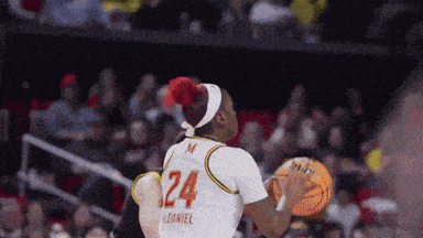 a basketball player with the number 24 on the back of his jersey