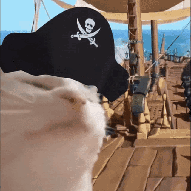Pirate Catjam GIF - Pirate Catjam Cat GIFs
