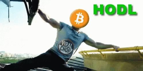 Hodl Hodling GIF - Hodl Hodling Bitcoin GIFs