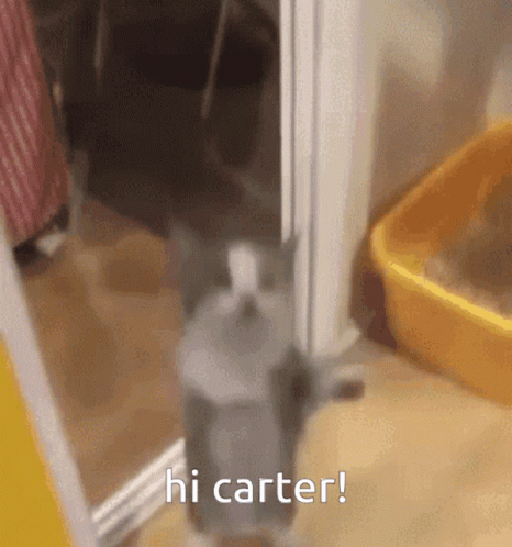 Hi Carter Carter GIF - Hi Carter Carter Carter Graham GIFs