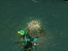 a video game screen shows a glowing green object