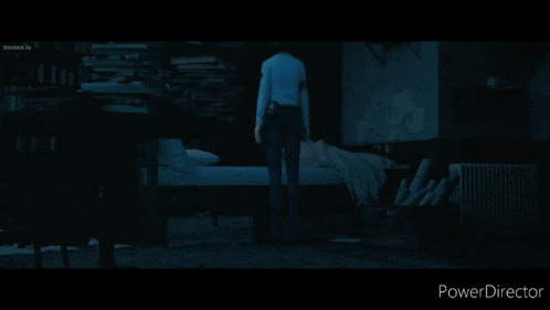 a person standing in front of a bed with the words power director below