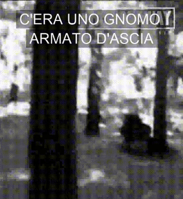 a black and white photo of a tree with the words c'era uno gnomo armato d'ascia