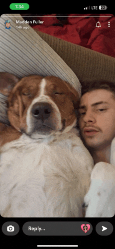 a man and a dog are laying on a couch and a reply is being displayed