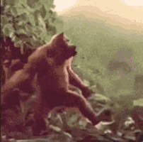 a monkey is standing on its hind legs in a jungle