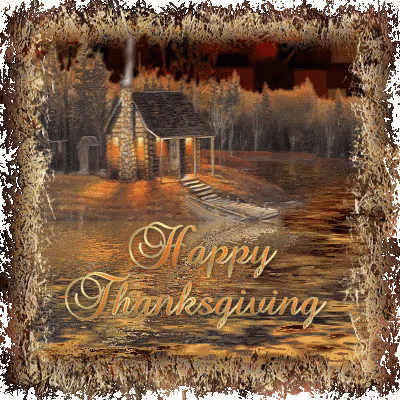 Thanksgiving Turkey GIF - Thanksgiving Turkey Warm GIFs