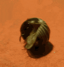 a close up of a bug crawling on a surface