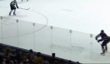 a hockey game is being played in a stadium with southern written on the ice .