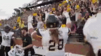Appstate Excited GIF - Appstate Excited GIFs