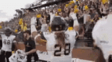 a football player wearing a white jersey with the number 28 on it stands in front of a crowd .