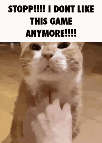 a cat is giving the middle finger to someone while sitting on the floor .