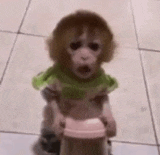 a baby monkey is sitting on a tiled floor holding a pink bottle .