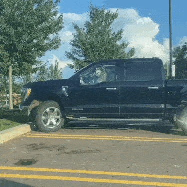 a black ford truck with a dog in the driver 's seat is parked in a parking lot
