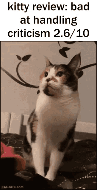 a cat is sitting on a bed with a caption that says kitty review bad at handling criticism 2.6 / 10