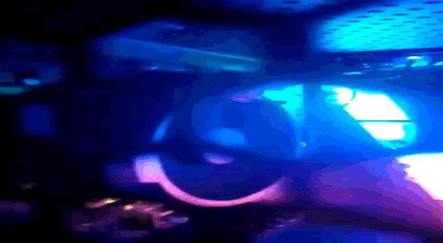 Dylan Pc Pc Gaming GIF