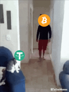 a man in a black shirt and red shorts is standing in a hallway with a circle with the letter b on it
