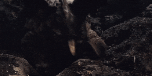 a close up of a monster with a beard and horns in a dark cave .