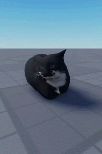 Maxwell Cat GIF - Maxwell Cat Dance GIFs