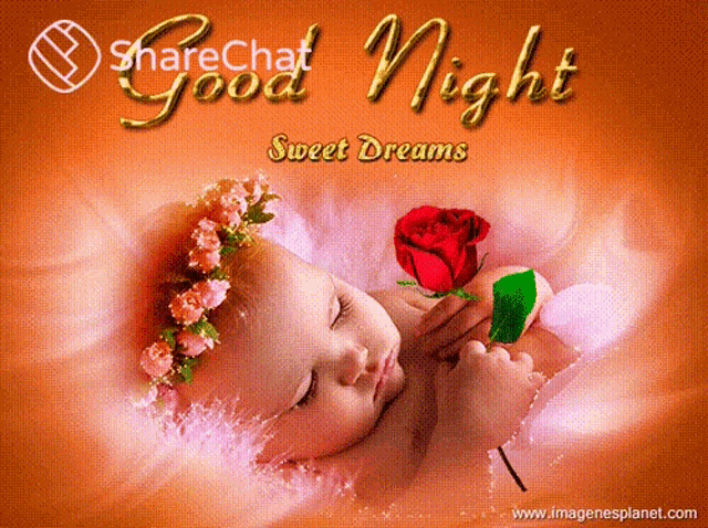 a baby is sleeping with a rose in her hand and the words sharechat good night sweet dreams