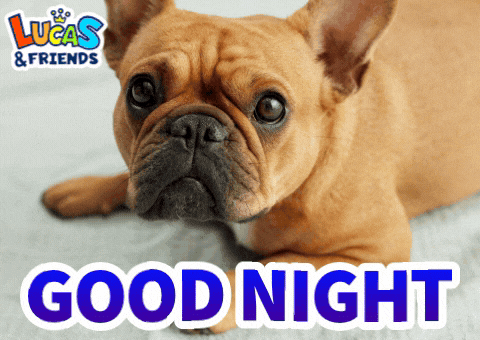 a french bulldog laying on a bed with the words good night below it