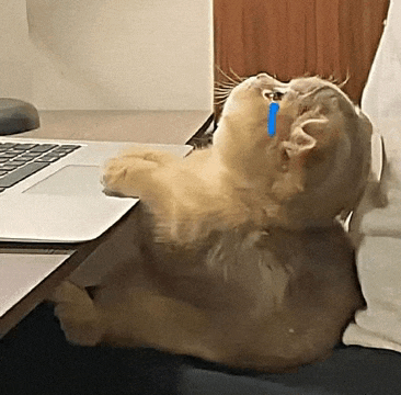 a cat with a blue tear running down its face