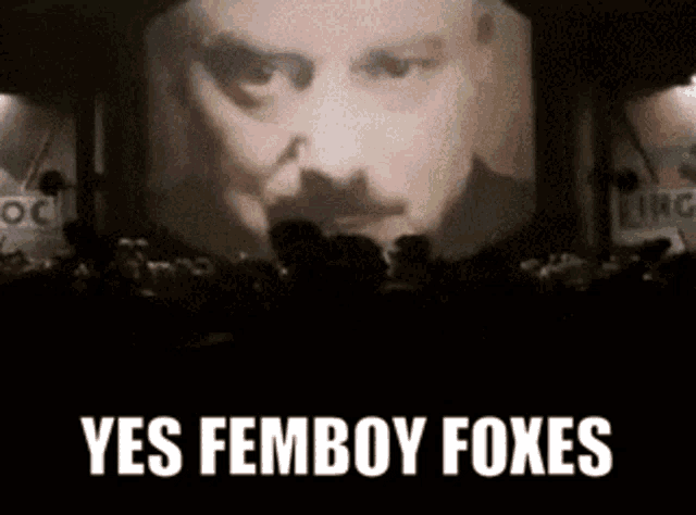 Femboy Fox Femboy Foxes GIF - Femboy Fox Femboy Foxes No Femboy Foxes GIFs