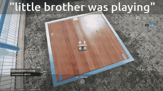a screenshot of a video game says little brother was playing