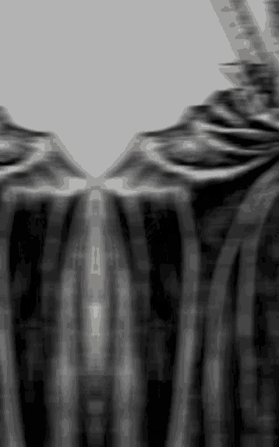 a black and white photo of a person 's torso with a plaid shirt .