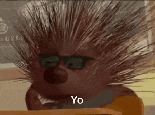 a porcupine wearing sunglasses says yo in front of a blackboard