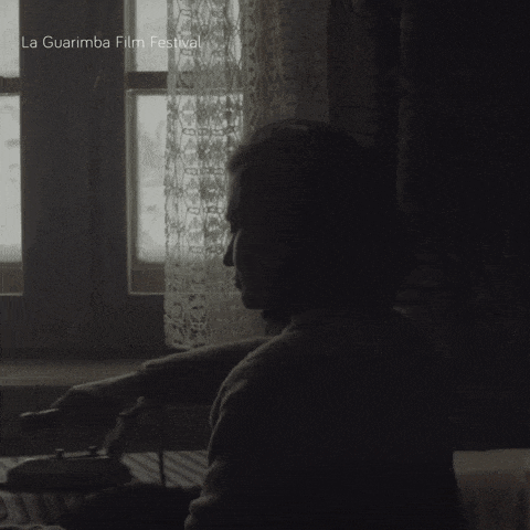 a man sits in front of a window with la guarimba film festival written on the bottom right
