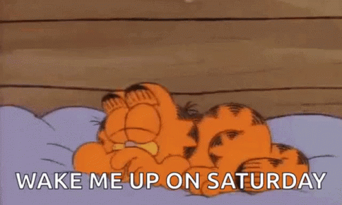 Saturday Garfield GIF - Saturday Garfield Bed GIFs