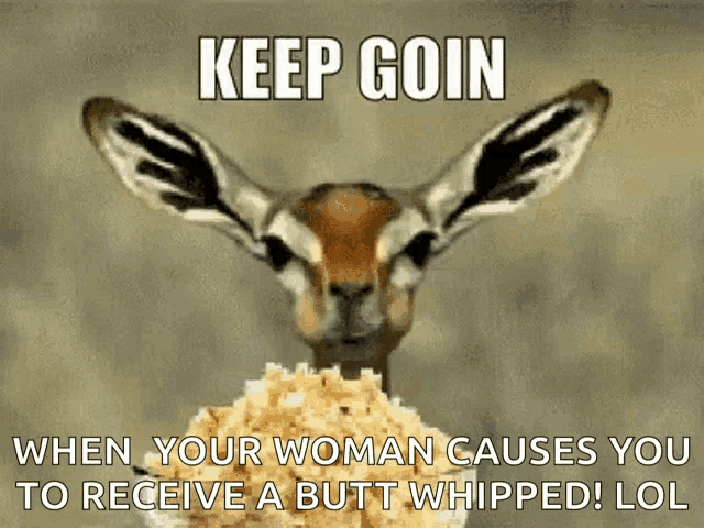 a picture of a gazelle with the words keep goin when your woman causes you to receive a butt whipped