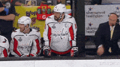 a group of washington capitals hockey players are sitting in the stands