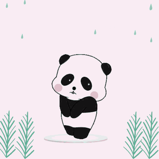 Cute Panda GIF - Cute Panda Sorry GIFs