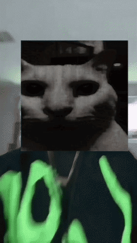 Cat Evil Cat GIF