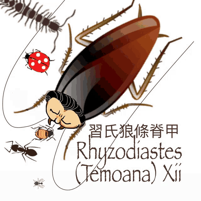 a cockroach with a man 's head is surrounded by other insects and the words rhyzodiastes temoana xii