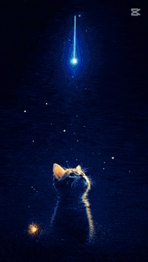 a picture of a man and a cat with the name ccap fabio on the bottom