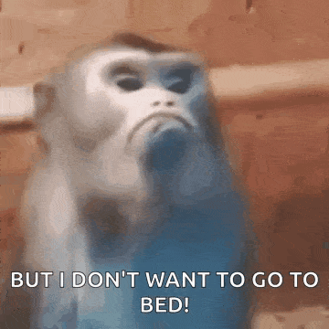 a blurry picture of a monkey with the words `` but i don 't want to go to bed '' written on it .